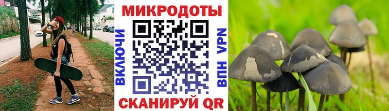 Галлюциногенные грибы мухоморы  мега ссылки  Беслан  где найти наркотики 